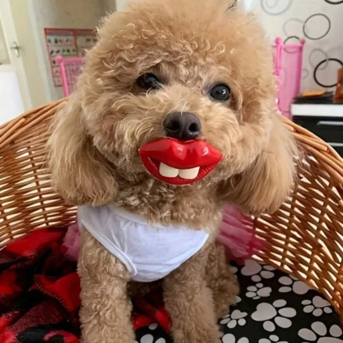 Bella P.