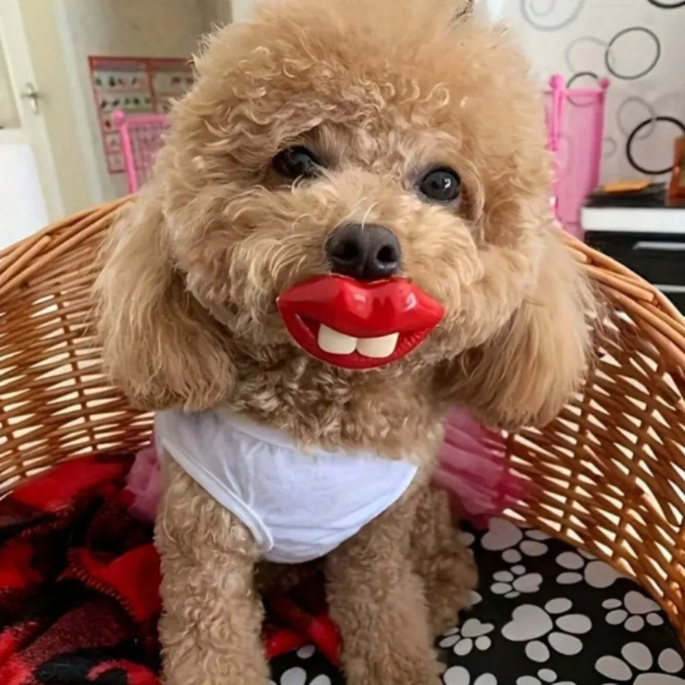 Snoutrageous Dog Lips Chew Toy - Funny Silicone Pet Toy